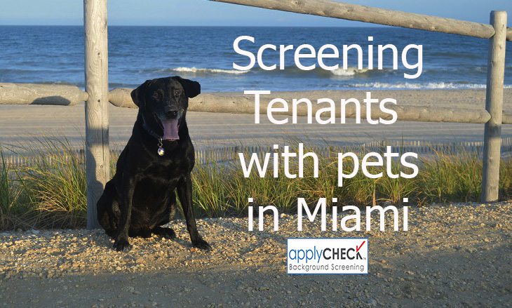 screening tenants with pets in Miami image