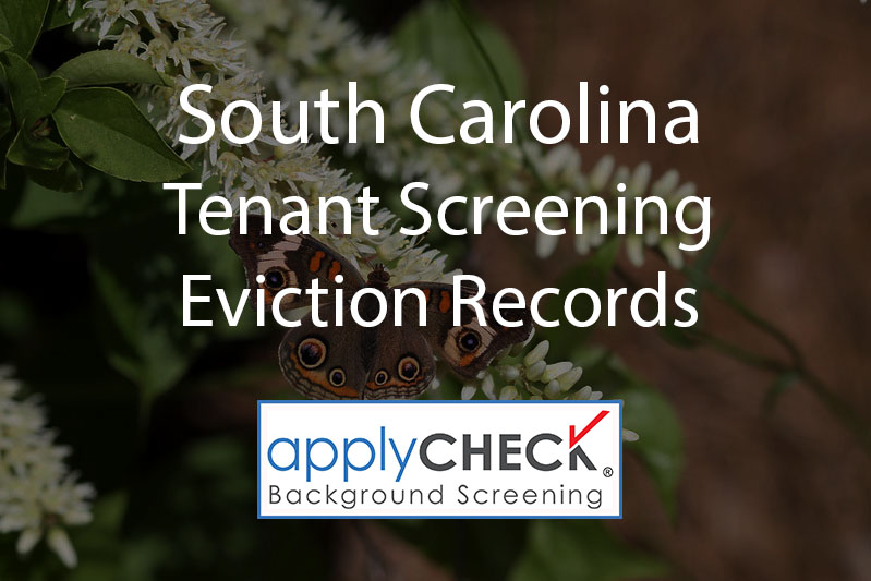 south carolina tenant screening image