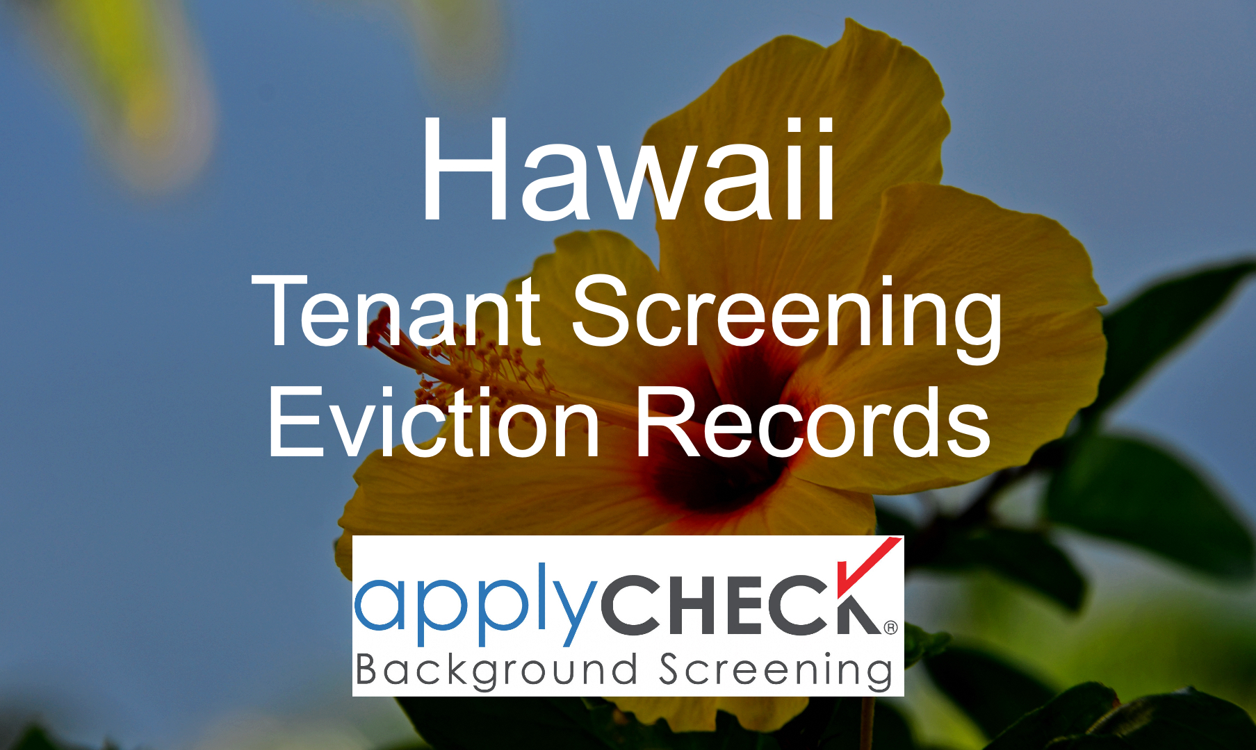 Hawaii Tenant Screening and Eviction image