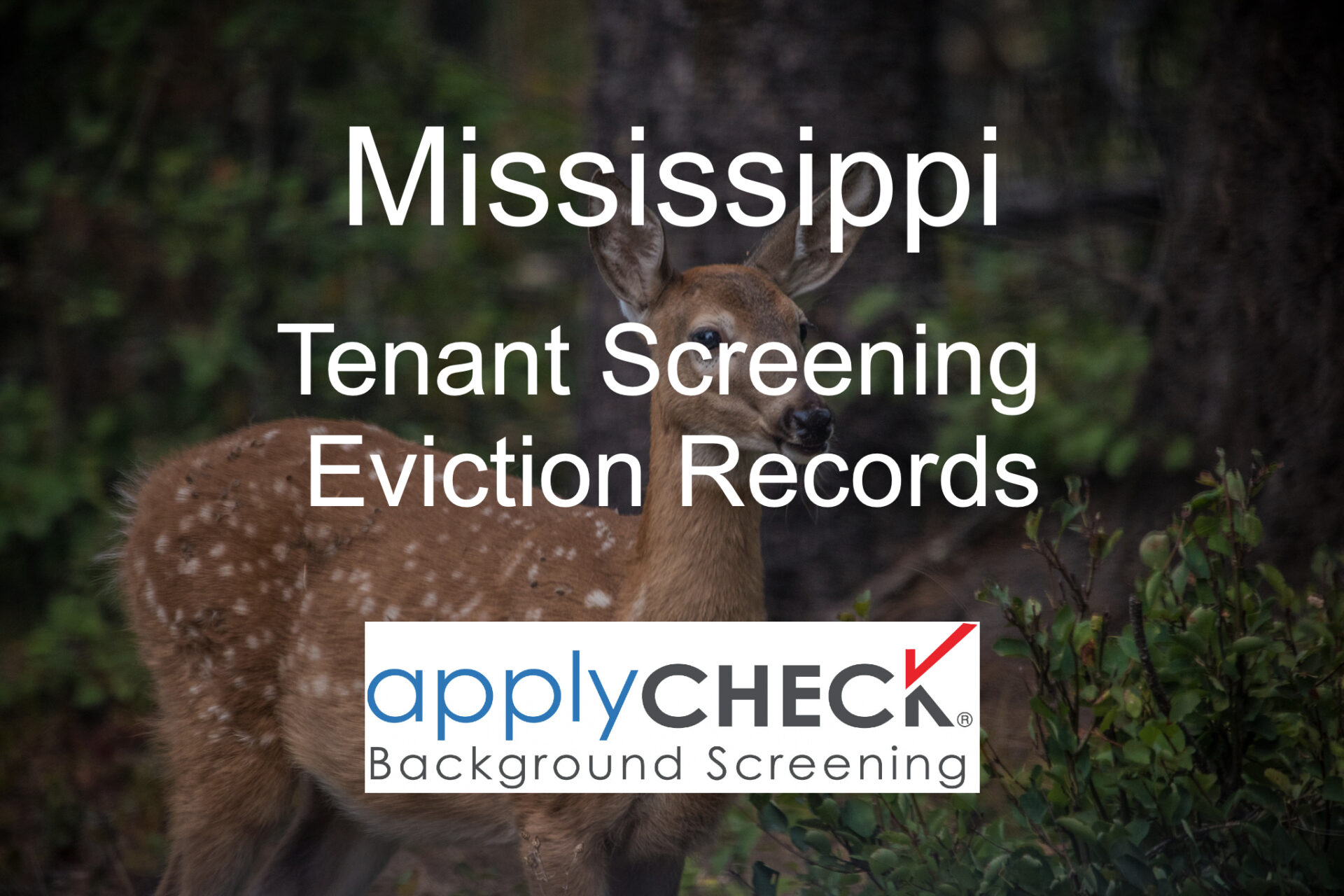 Mississippi Tenant Screening and Eviction image