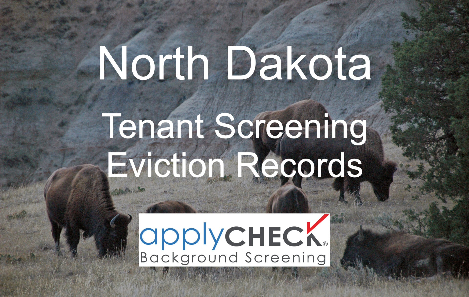 North dakota Tenant Screening and Eviction image
