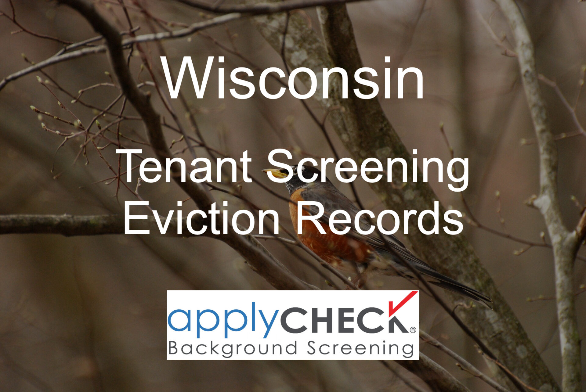 Wisconsin Tenant screening and eviction image