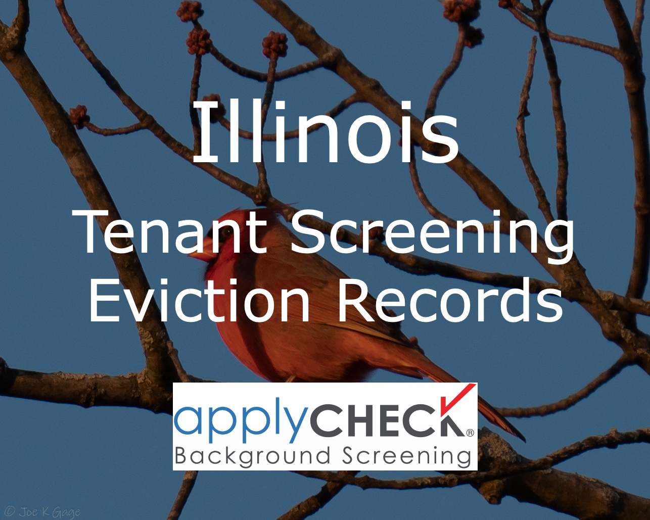 Illinois Tenant Screening Eviction Records