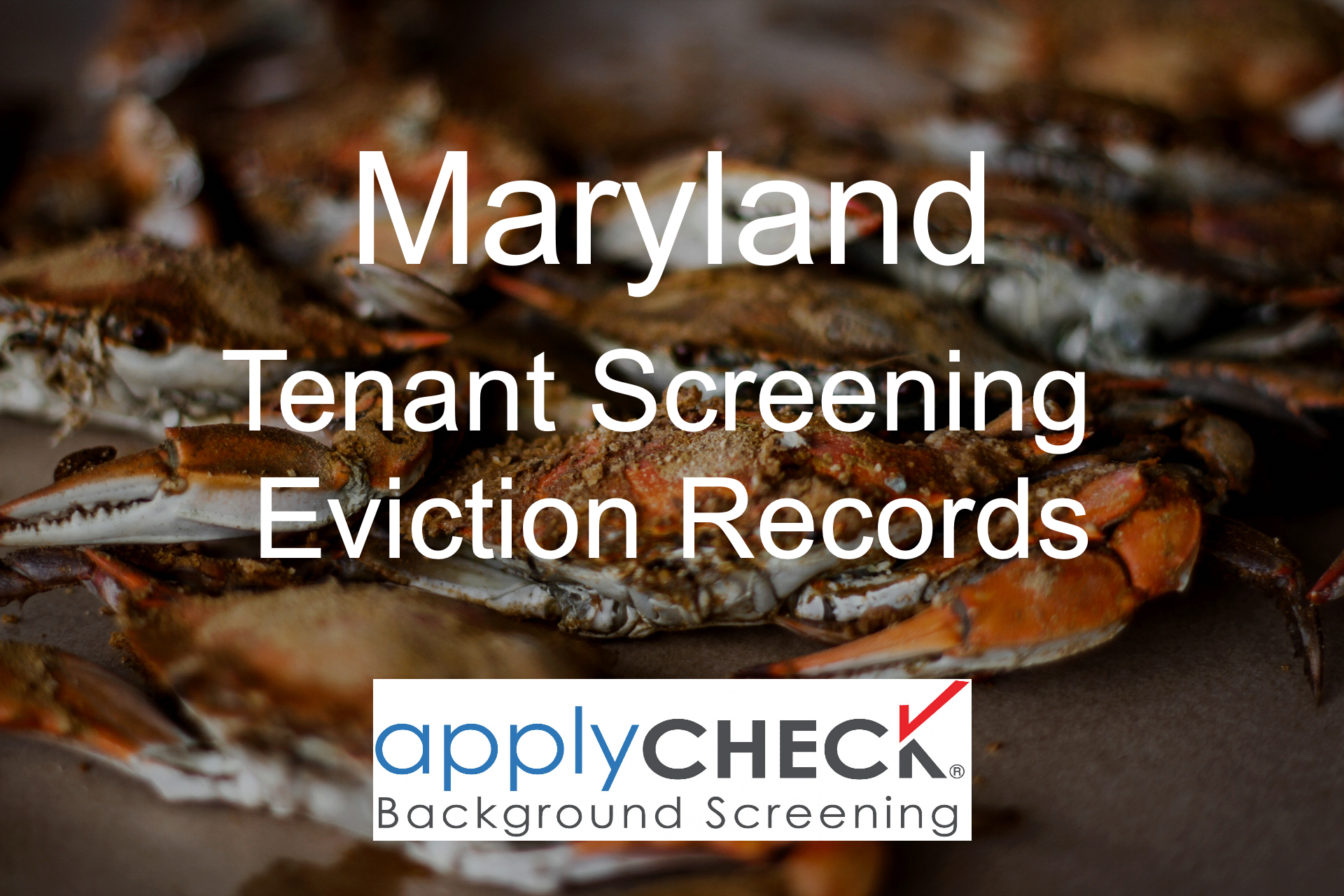 Maryland Tenant Screening and Eviction image
